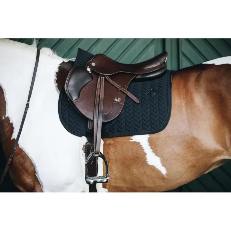 Occasione Sottosella Fishbone jumping Kentucky