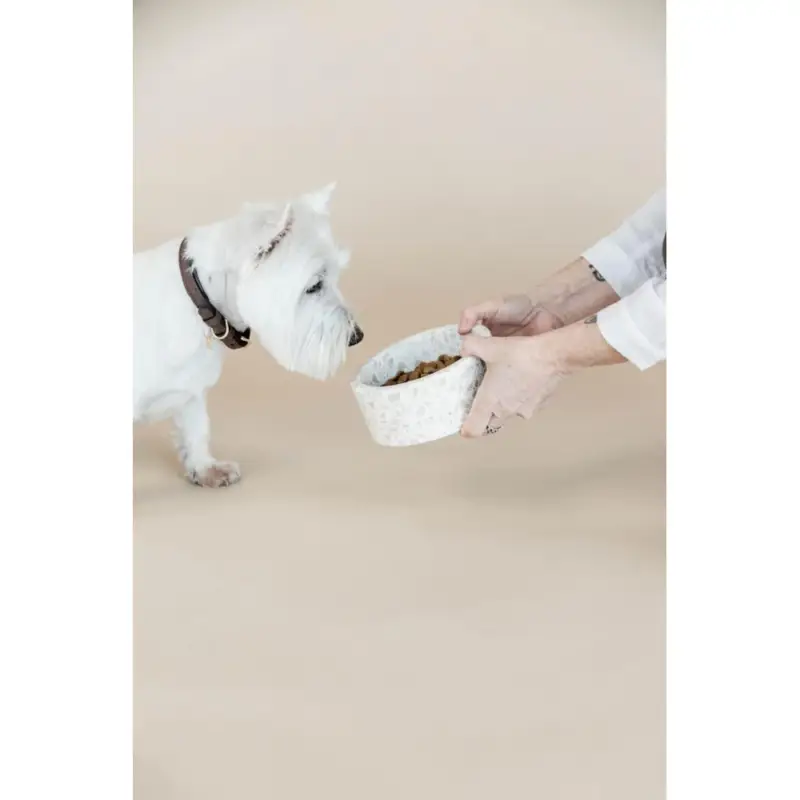 Ciotola per cane in pietra Terrazzo Kentucky Esclusivo