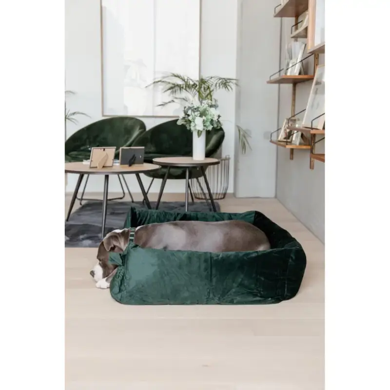 Letto per cane Velvet Kentucky Ultimissimo Modello
