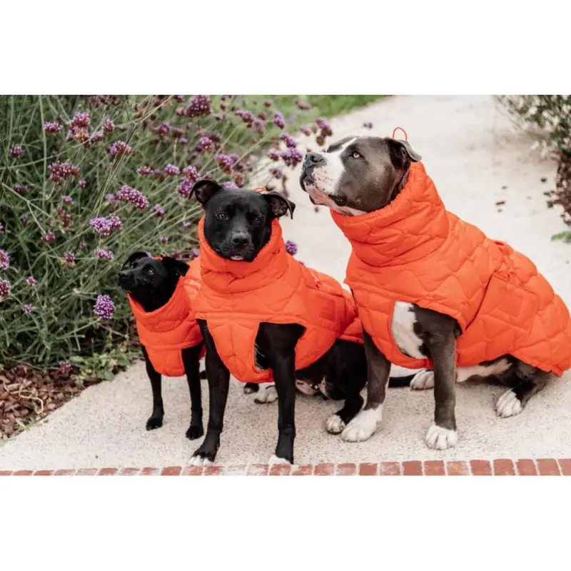 Professionale Cappotto invernale per cani Pina Kentucky