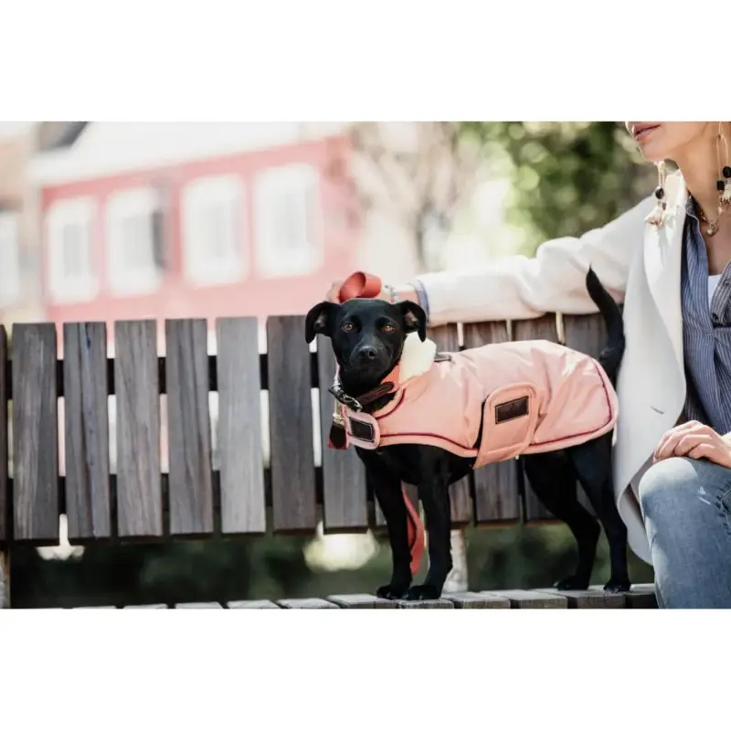 Professionale Cappotto impermeabile per cane 160g Kentucky