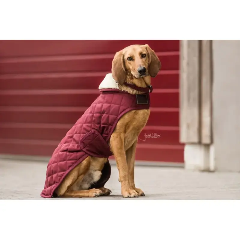 Cappotto per cane Original Kentucky Bestseller