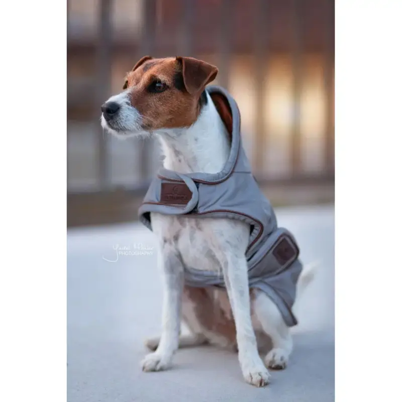 Promozione Cappotto per cane riflettente e idrorepellente Kentucky