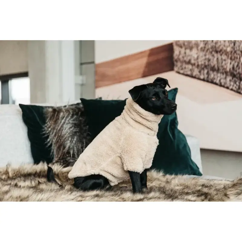 Maglione per Cane Teddy Fleece Kentucky Direttamente Dal Produttore