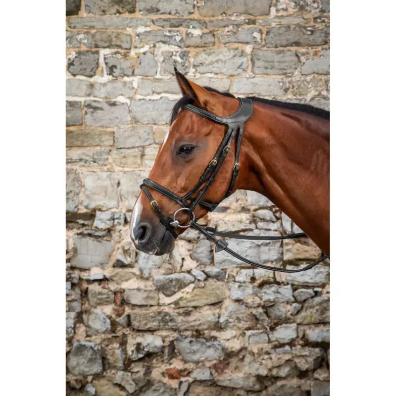 Nuovo Arrivo Briglia Différence D Collection by Dy'on