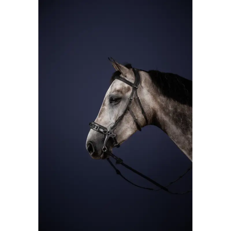 Hackamore Bridon New English Collection by Dy'on Economico
