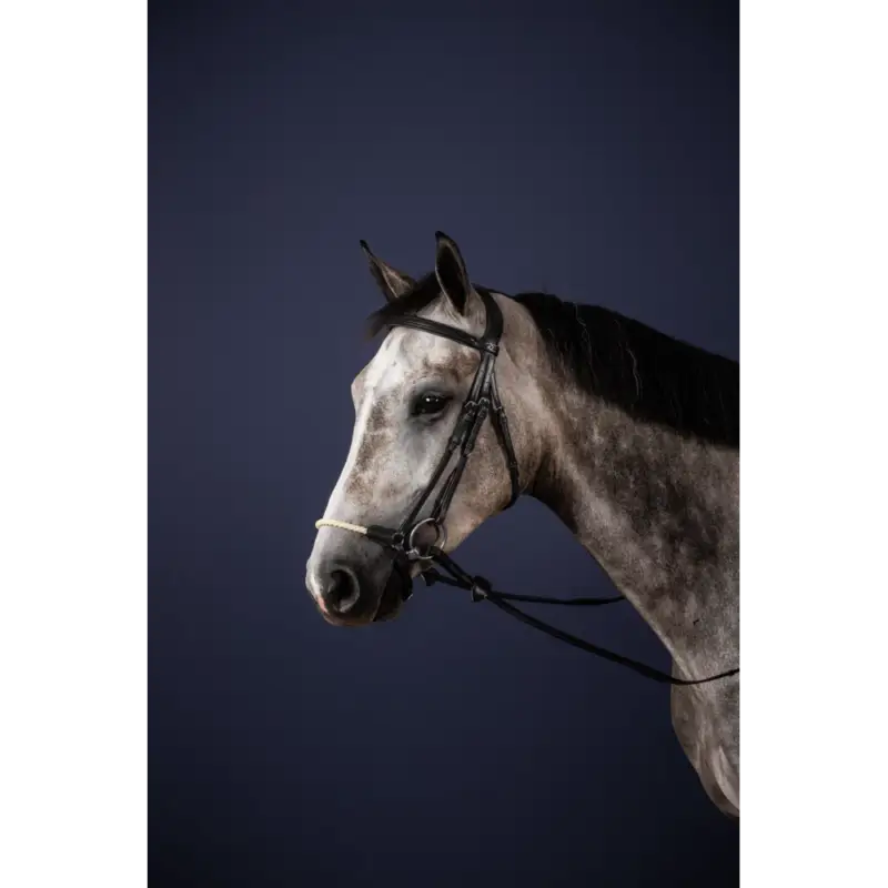Consegna Rapida Briglia Capezzina Tedesca Corda New English Collection by Dy'on
