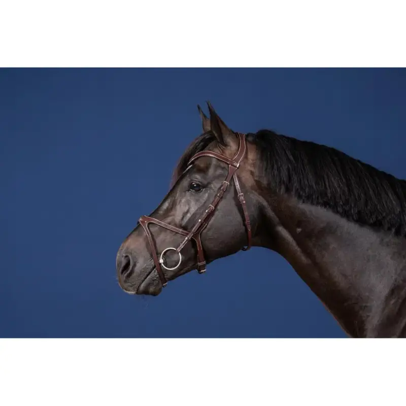 Ultime Pezzi Briglia X-Fit Collezione US di Dy'on