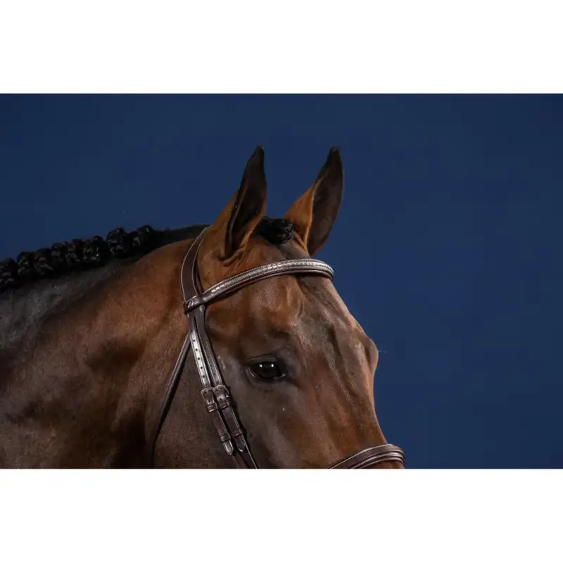 Promozione Frontal Dritto Clincher Argentato US Collection by Dy'on
