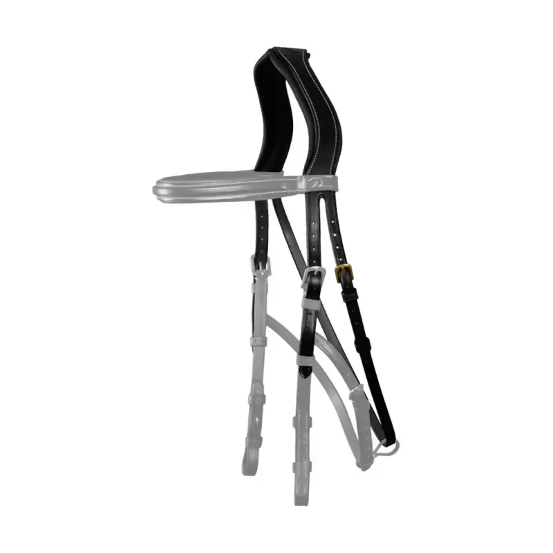 Capezzina Hackamore D Collection by Dy'on Nuovo Arrivo
