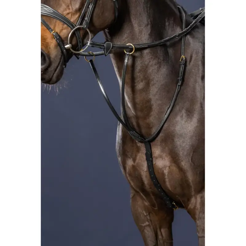 Martingala ad Anelli D Collection di Dy'on Occasione Imperdibile