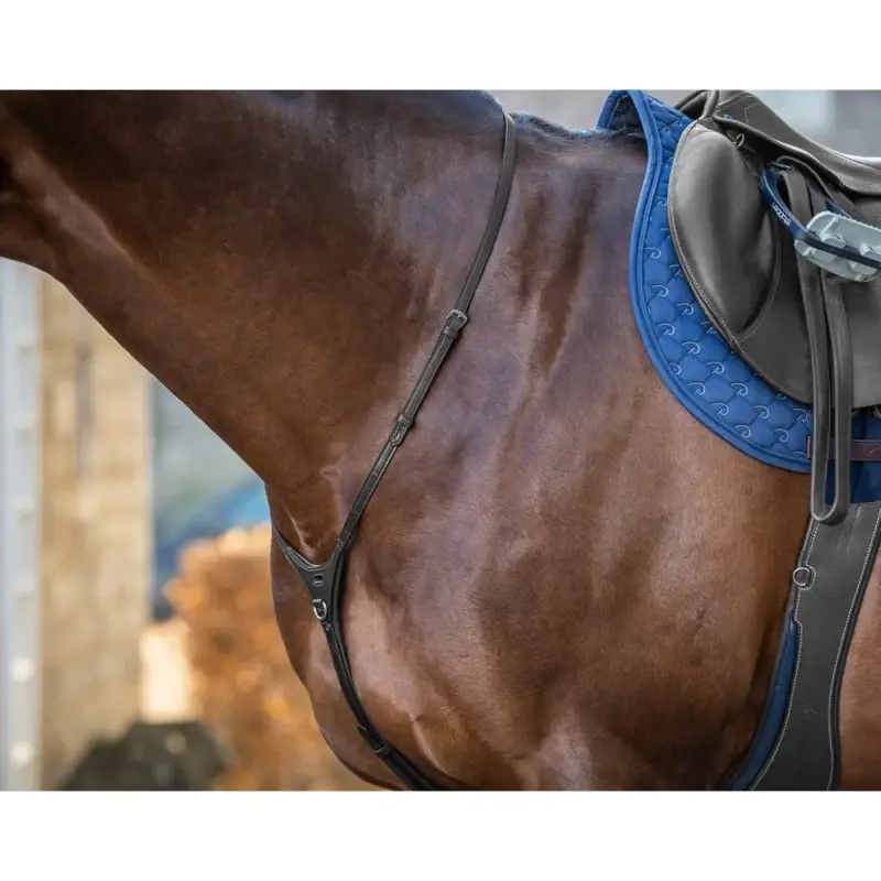 Collezione New English Yoke di Dy'on Professionale