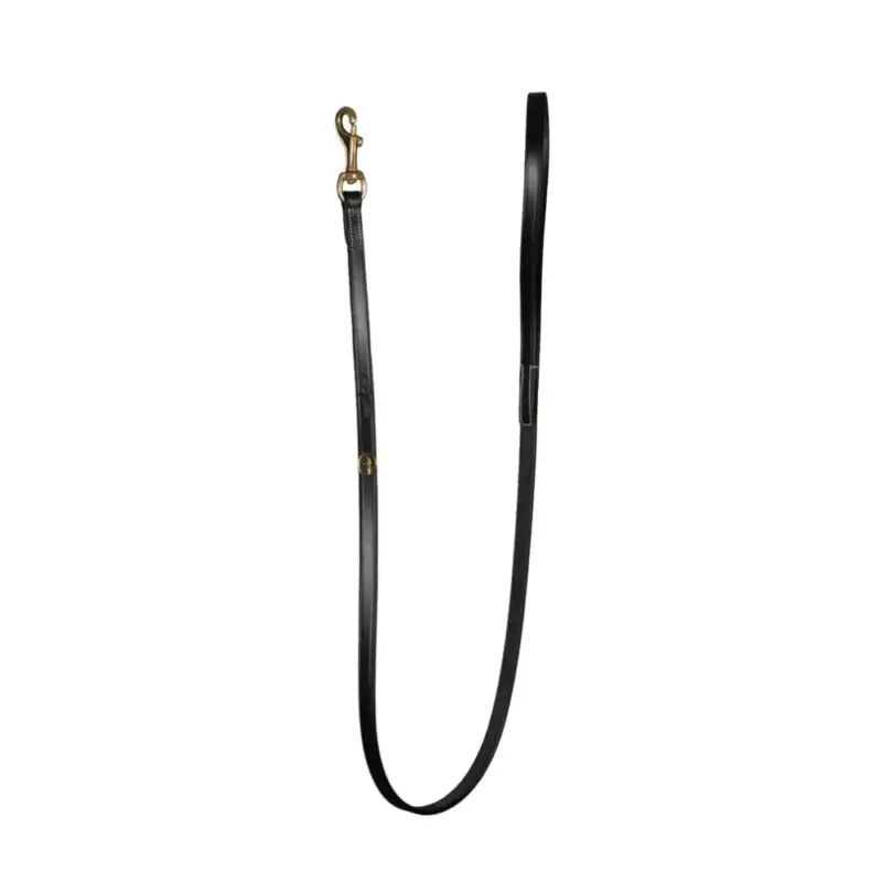 Offerta Guinzaglio Classico per Cane Dy'on