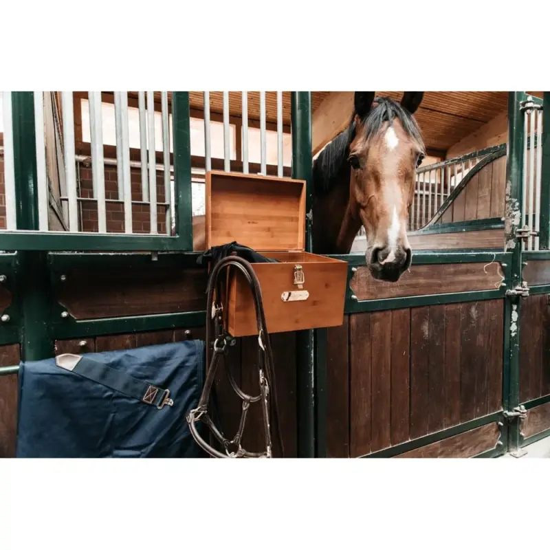 Miglior Prezzo Scatola da toelettatura per Box Grooming Deluxe by Kentucky