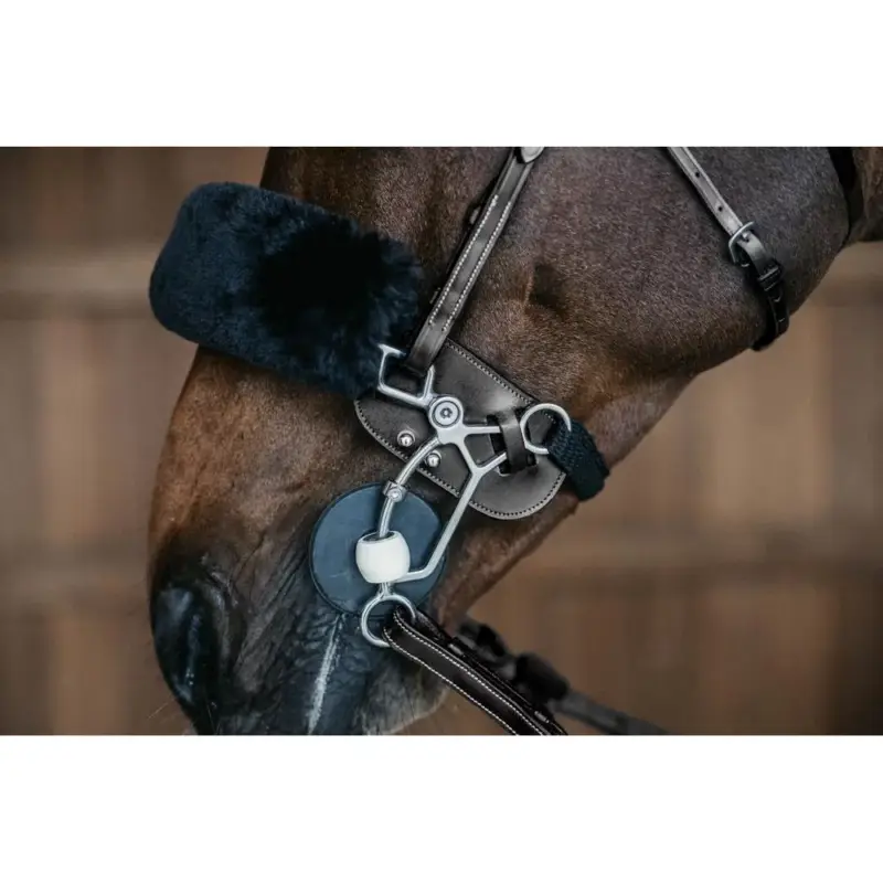 Occasione Imperdibile Protezione per Hackamore Dy'on