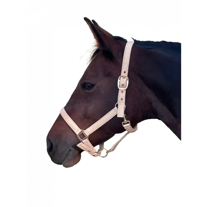 Scelto Dai Clienti Capezzina Canter Malibu