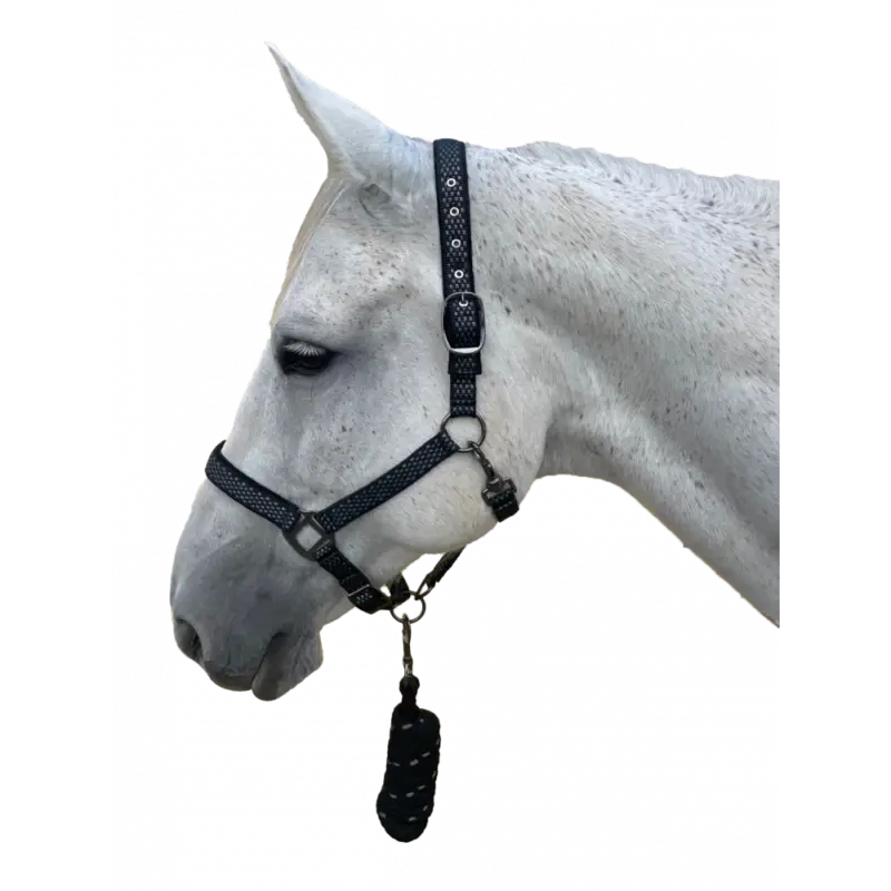 Bestseller Set capezza + corda Sonoma Canter