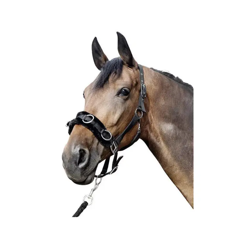Prezzo Ridotto Capezzina cavezzone HKM in nylon imbottito