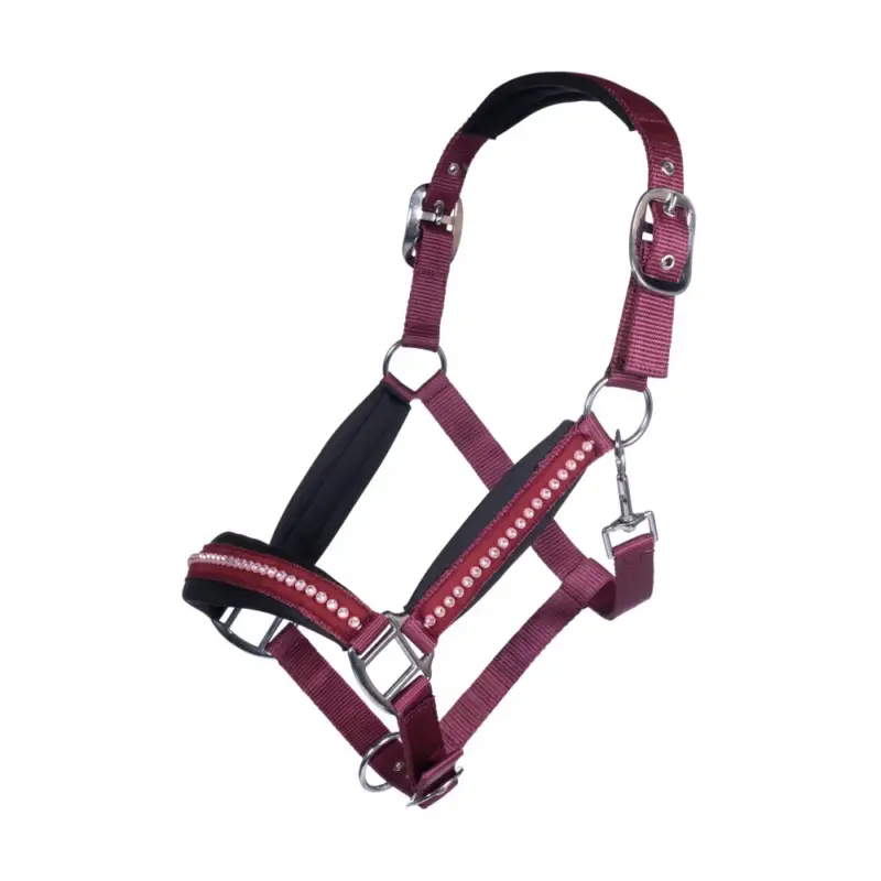 Capezza HKM Berry Occasione Imperdibile