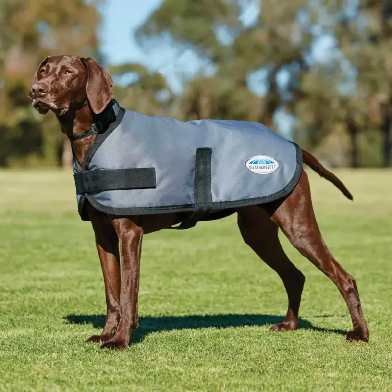 Affare Cappotto per cane WeatherBeeta ComFiTec Classic