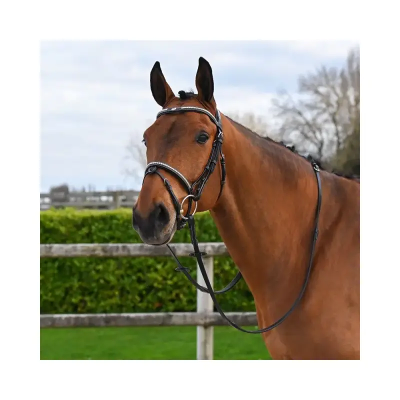 Consegna Rapida Briglia Clincher Jump'In One Premium