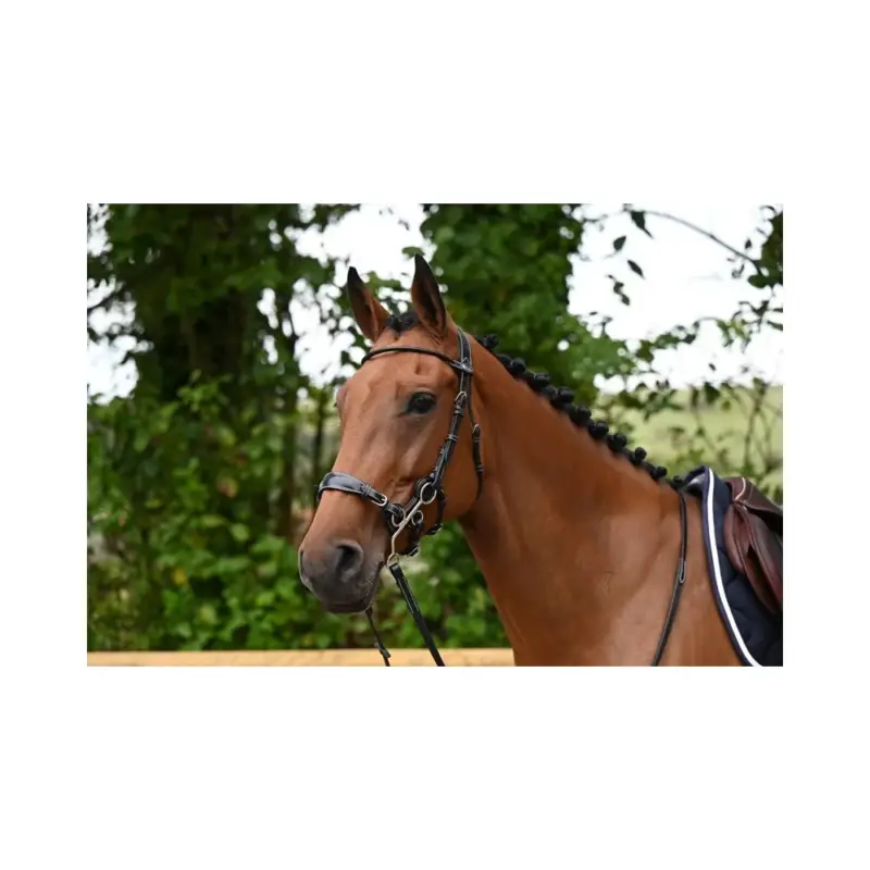 Promo Stagionale Briglia Hackamore Jump'In week