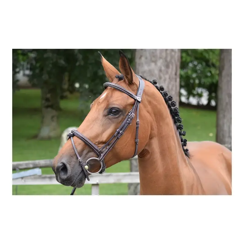 Offerta Lampo Briglia Thursday capezzina combinata Jump'In week