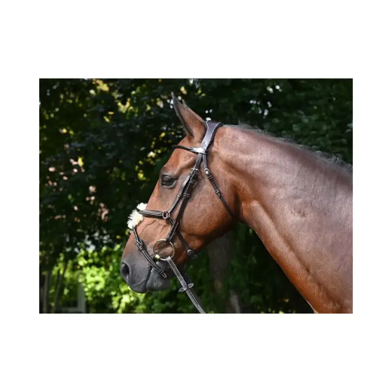 Briglia Wednesday capezzina incrociata Jump'In week Consegna Rapida