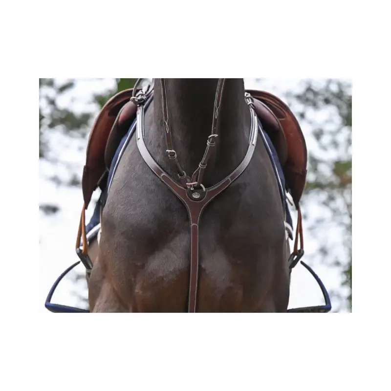 Pettorale Clincher con martingala Jump'In One Premium Subito Disponibile