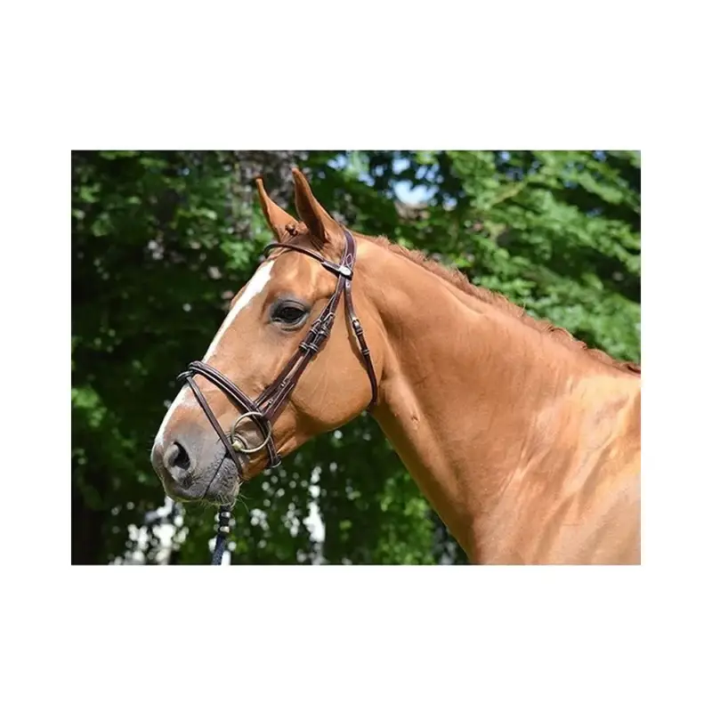 Miglior Prezzo Filet Jump'In Monday capezzina combinata week