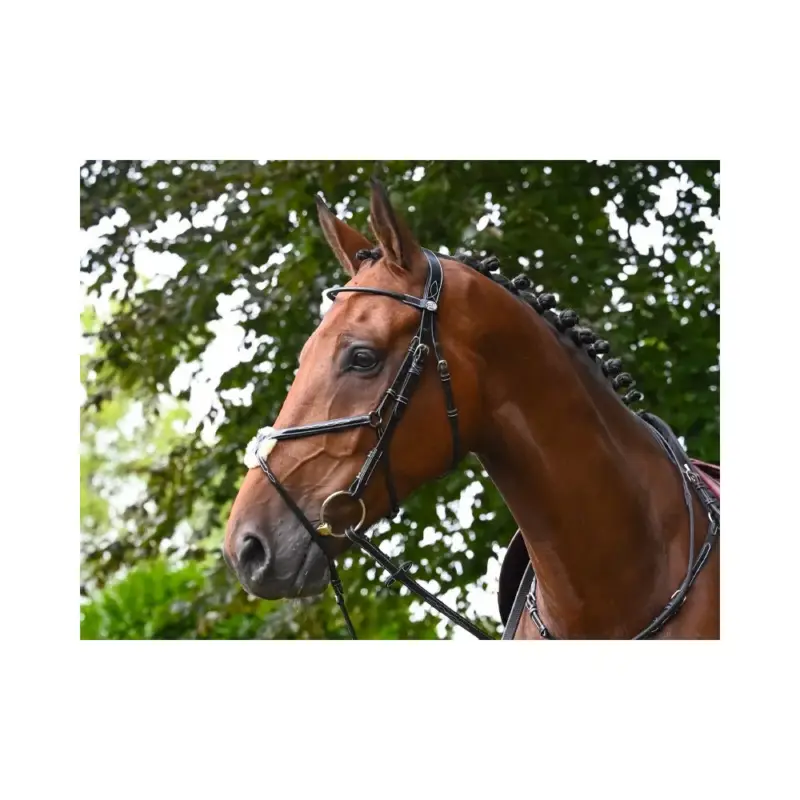 Promozione Filet Jump'In Monday museruola incrociata week