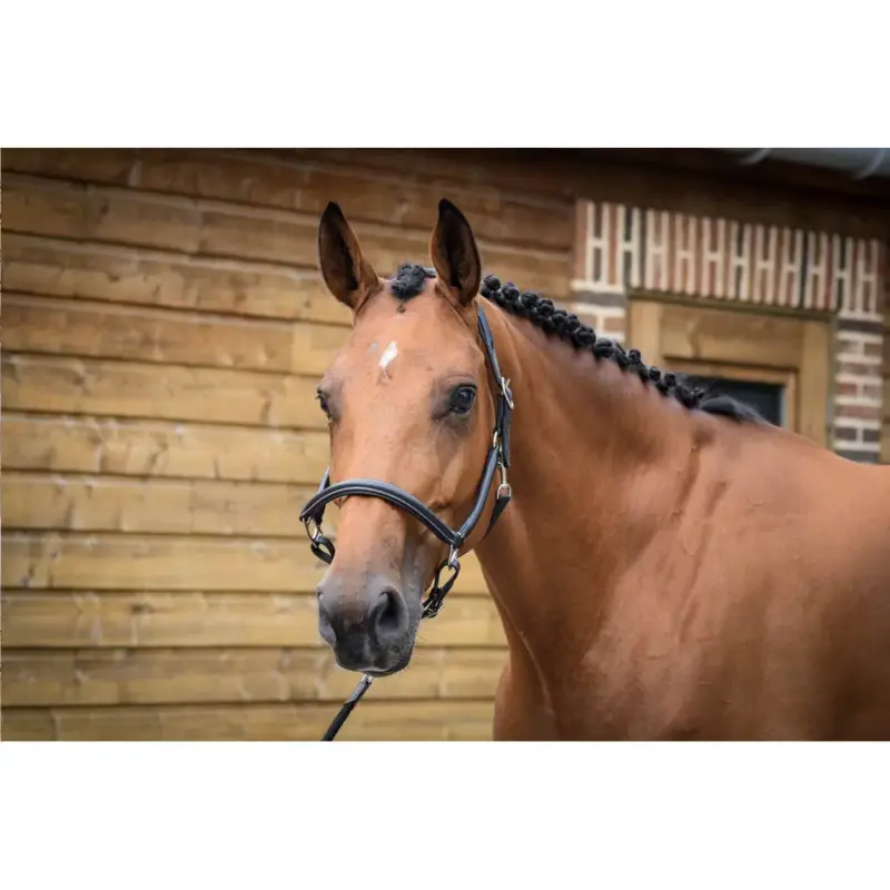 Capestro da grooming Jump'In One Nuovo Arrivo