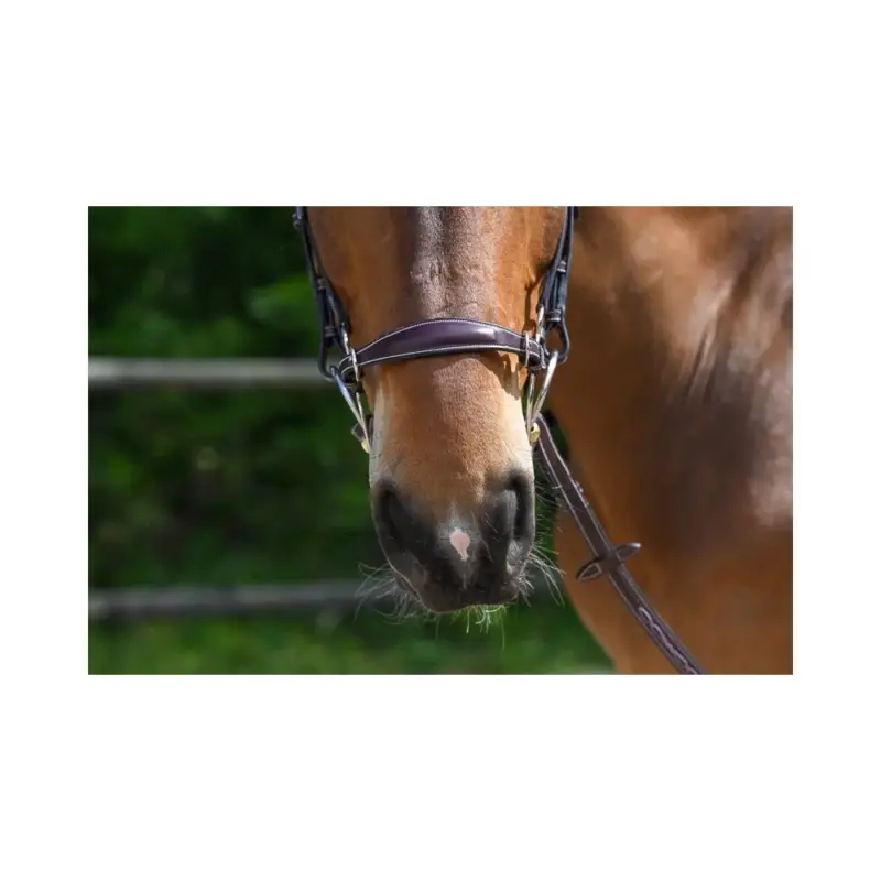 Museruola hackamore Jump'In Prezzo Ridotto
