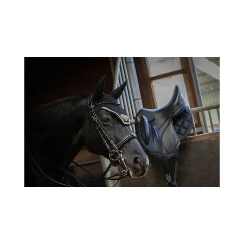 Briglia da dressage lucida Jump'In week Promozione Esclusiva