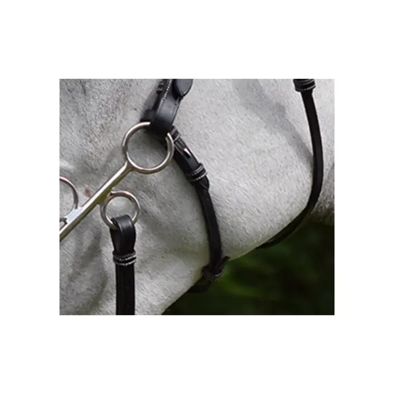 Saldi Montanti e cinghia per hackamore Jump'In week