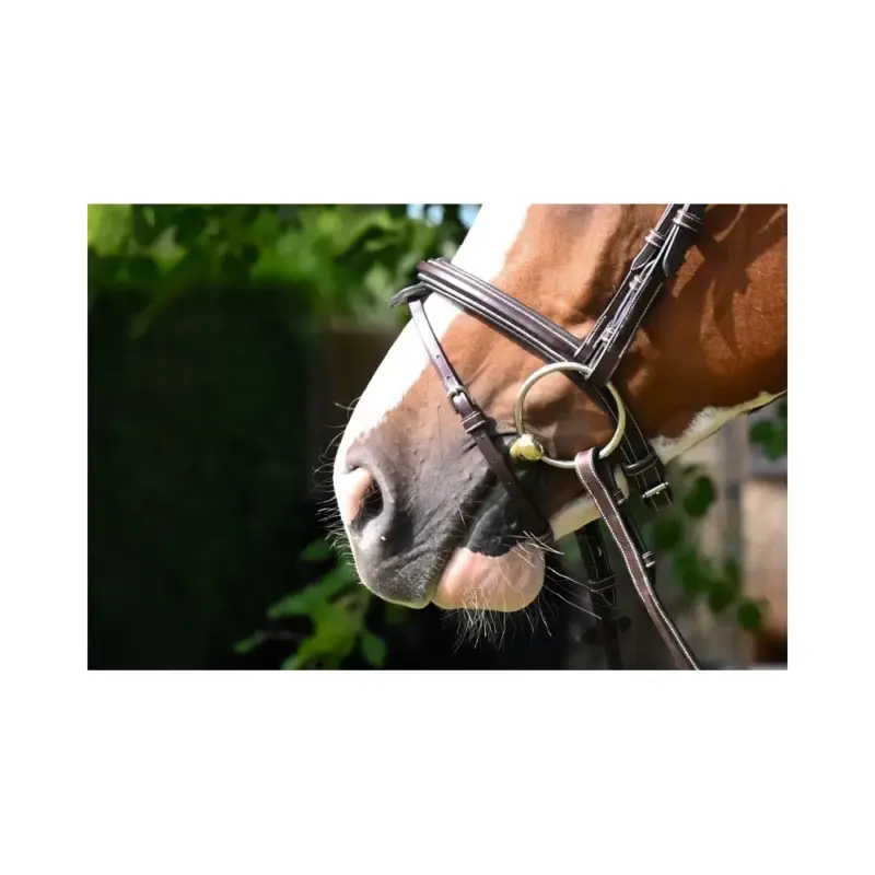 Must-Have Noseband Jump'in