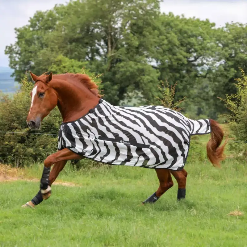 Coperta antimosche Bucas Buzz-Off Zebra con copricollo Soddisfatti O Rimborsati