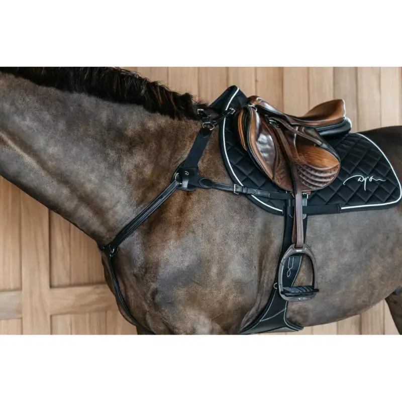 Miglior Prezzo Pettorale a 5 punti con elastici New English Collection Dy'on