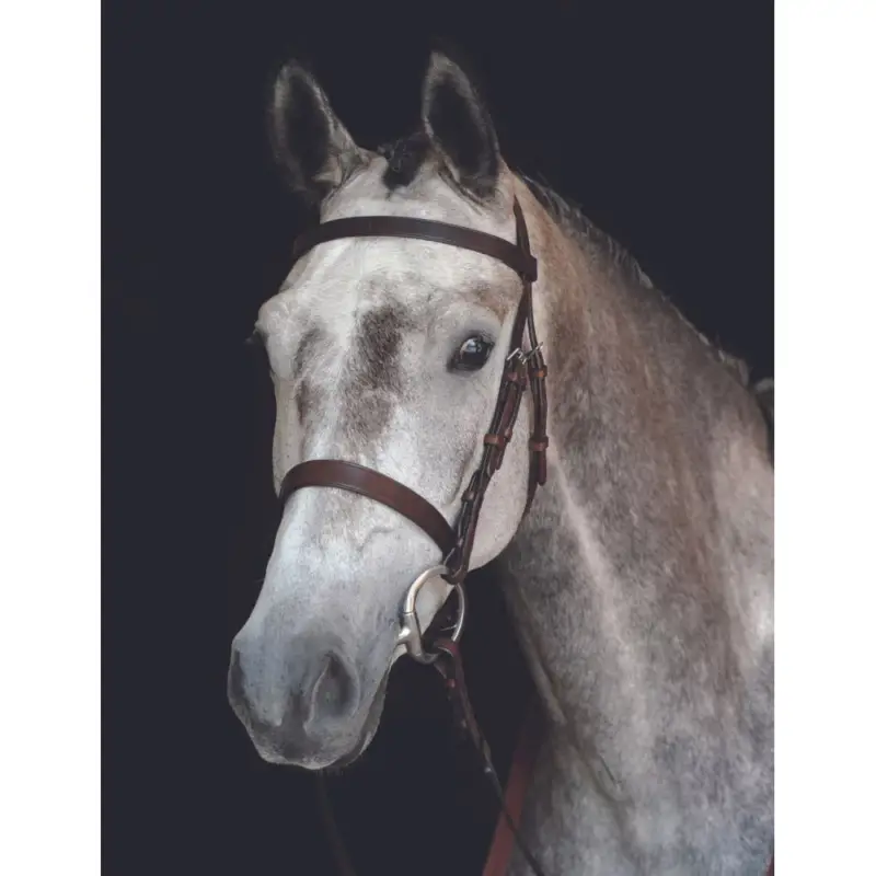 Capezzina Bridon Collegiate IV Promo Stagionale