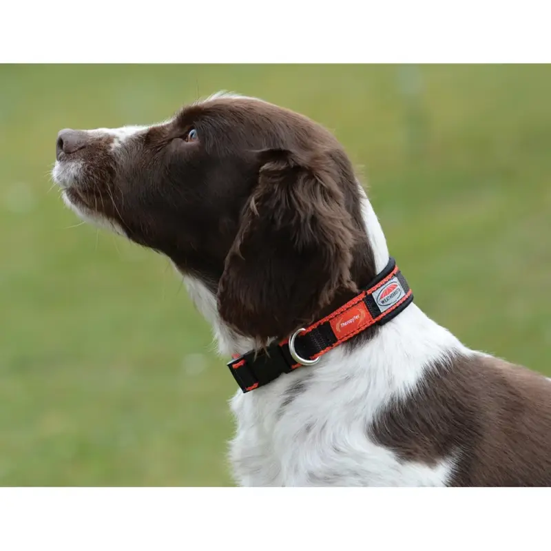 Offerta Lampo Collare per cane Weatherbeeta Therapy-Tec