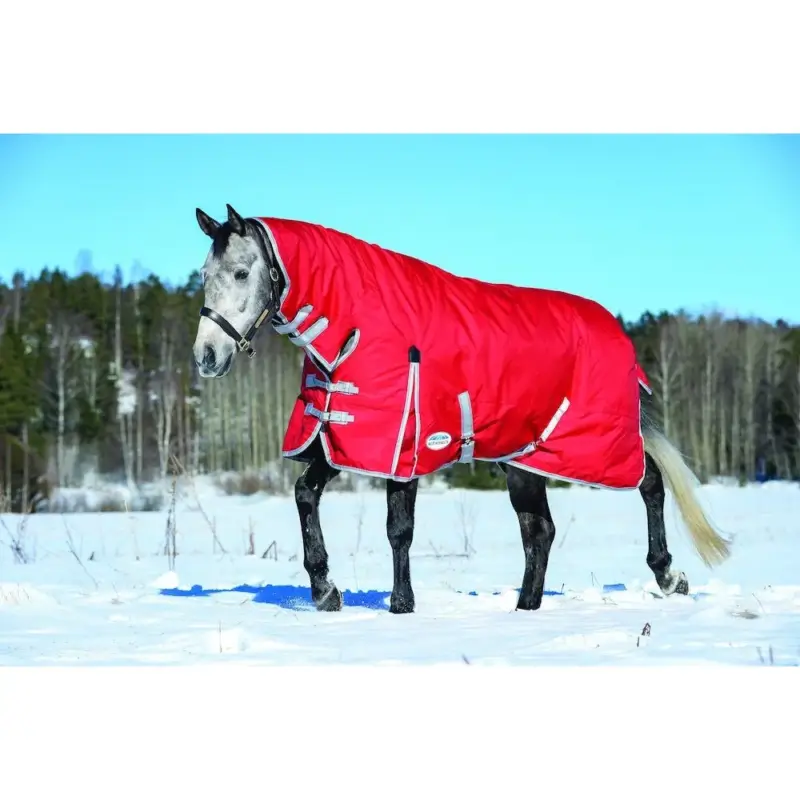 Offerta Del Giorno Coperta da esterno Combo 300g Weatherbeeta ComFiTec Classic