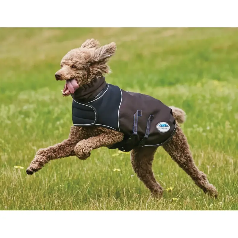 Coperta per cane 100g Weatherbeeta ComFiTec Ultra Cozi Non Perdere