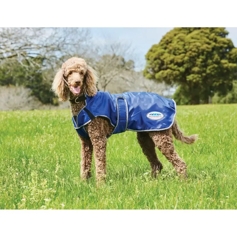 Coperta per cani 0g Weatherbeeta ComFiTec Deluxe Direttamente Dal Produttore
