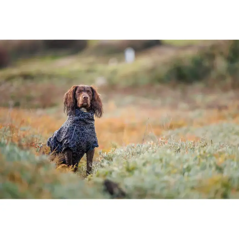 A Buon Prezzo Coperta per cane riflettente Weatherbeeta ComFitec