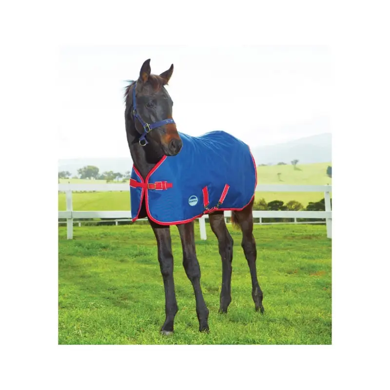 Quantità Limitata Coperta per puledro 220g Weatherbeeta 1200D
