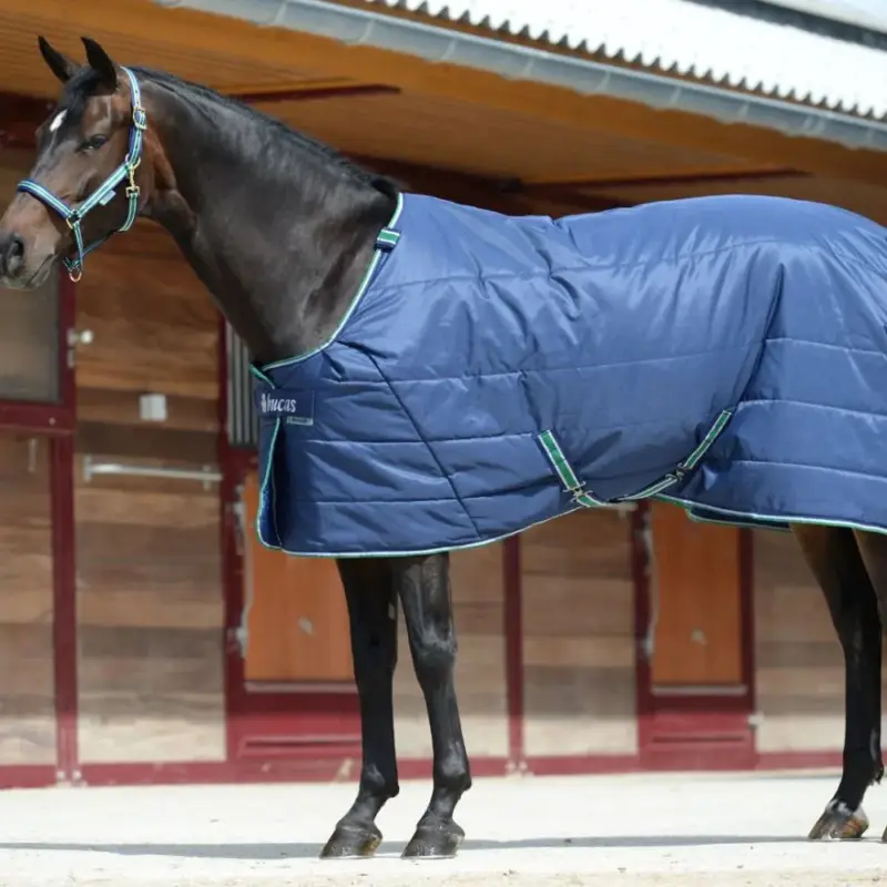 Compra Adesso Coperta da scuderia Bucas Quilt 300g Stay-Dry