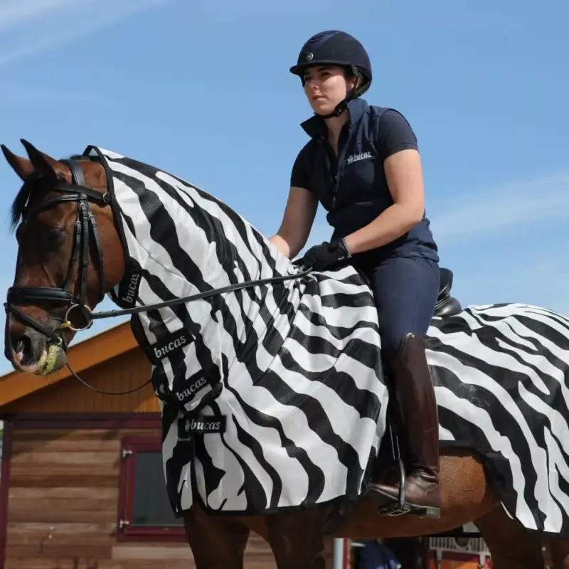 Coperta antimosche Zebra Bucas Buzz-Off Riding Prezzo Di Fabbrica