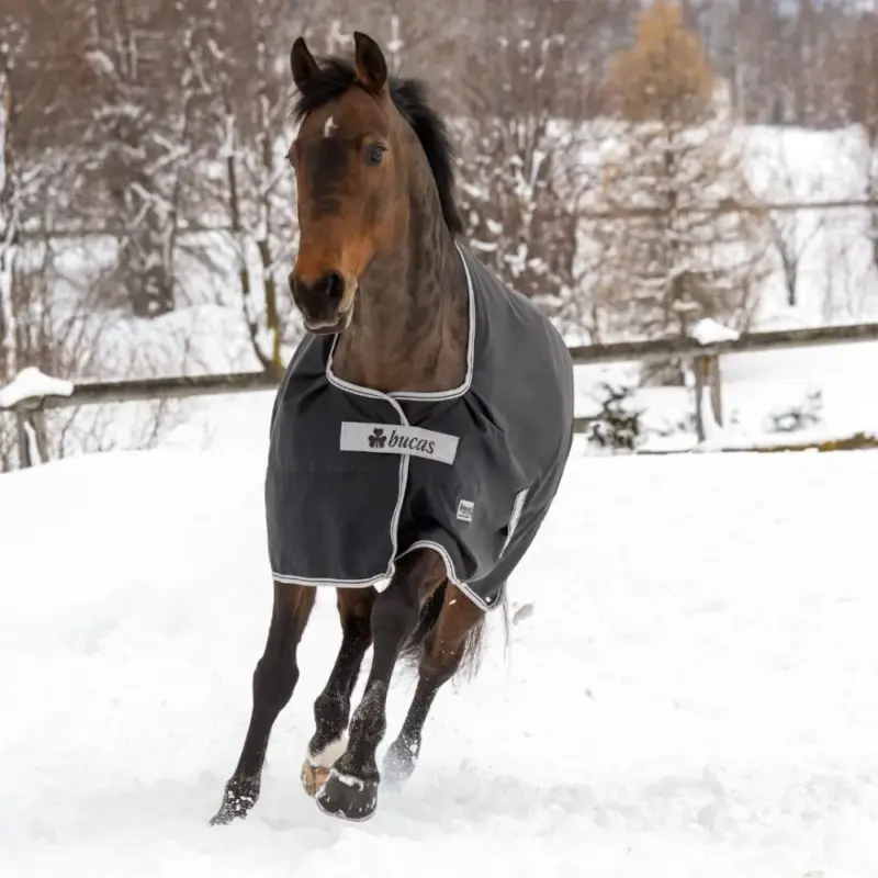 Promozione Coperta impermeabile Bucas Anniversary Turnout 50g SF