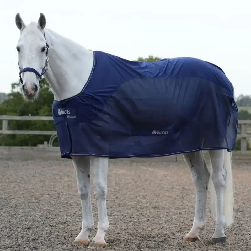 Soddisfatti O Rimborsati Coperta da trasporto Bucas Competition Cooler