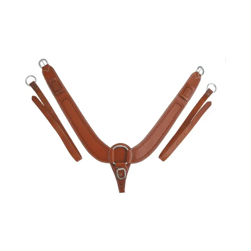 Acquista Ora Collare da Petto Buckaroo Border Stamp Pool's
